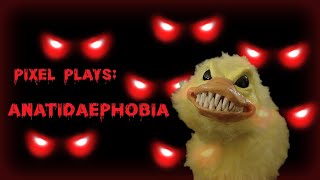 Do You Ever Feel Like Something is Watching You Quack Pixel Plays Indie Horror Anatidaephobia [upl. by Aznofla]