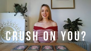 PICK A CARD  Who Has a Crush on YOU Tarot Reading Timeless [upl. by Acker]