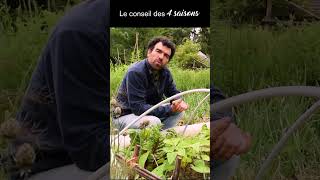 Association au jardin  Légumineuses et légumes feuilles  Le conseil des 4 saisons potager jardin [upl. by Gilbertine]