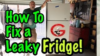 How To Fix a Fridge That Leaks Water [upl. by Yla]