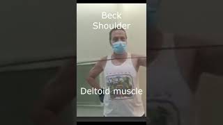 Above 70 Back Shoulder Deltoid Muscle Exercise in gym helalmedical [upl. by Saiasi]