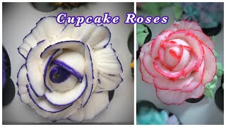 Buttercream rose cupcake tutorial with a color stripe [upl. by Assetan]