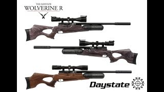 REVIEW DAYSTATE WOLVERINE R CAL 22 ESPAÑOL [upl. by Fonz]