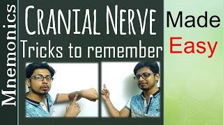 Cranial nerve tricks to remember  List of cranial nerves made easy [upl. by Piggy]