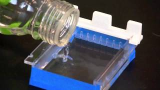 Casting an Agarose Gel [upl. by Teddie]