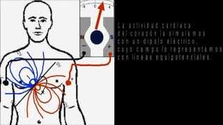 Explicación simple del electrocardiograma [upl. by Rehpotirhc213]