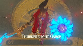 Zelda Breath of the Wild Vs Thunderblight Ganon  Cutscenes [upl. by Shiri590]