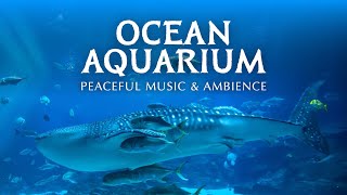 🦈 Ocean Aquarium  Underwater Ambience with Peaceful Music for Study Sleep and Relaxing [upl. by Anet]