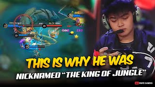 THIS IS WHY WISE was NICKNAMED quotTHE KING of the JUNGLEquot   😮 [upl. by Birck]