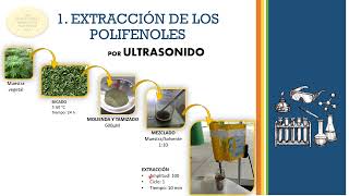 DETERMINACIÓN DE POLIFENOLES TOTALES EN ALIMENTOS POR FOLINCIOCALTEU  CURVA DE CALIBRACIÓN [upl. by Conrad929]