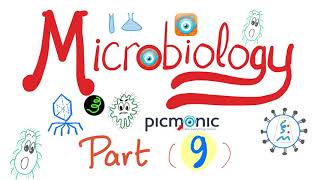 Microbiology Gram   Campylobacter jejuni Vibrio cholera Ecoli Klebsiella  Picmonic Part 9 [upl. by Akiner]