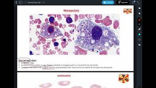 Hematologyhistologypractical 1 part3 [upl. by Ylrae]