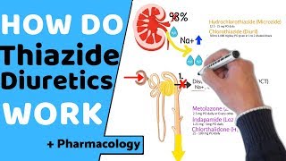 Thiazide Diuretics Mnemonic for NCLEX  Mechanism of Action Side Effects Nursing Pharmacology [upl. by Heymann]