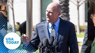 Attorney Michael Avenatti In Federal Court  USA TODAY [upl. by Manly]