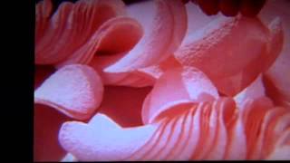 Pringles jingle commercial 60s [upl. by Reamonn]