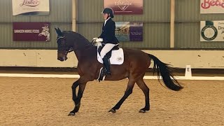 ELEMENTARY FREESTYLE DRESSAGE TO MUSIC  British Dressage [upl. by Eitsirk74]