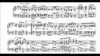 Schubert Piano Sonata No17 in D D850 Artur Schnabel Audio  Sheet Music [upl. by Adleremse]