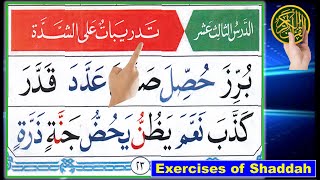 Quran Tajweed  Noorani Qaida lesson 13  How to read Arabic  Shaddah in Arabic  Alif Baa Taa [upl. by Iadam]