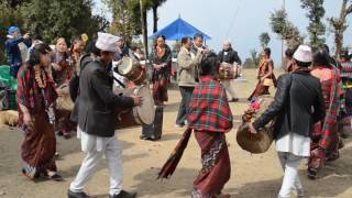 chyabrung darnce panchthar phidim limbuculture [upl. by Irtemed]