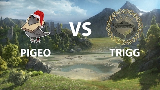 PIGEO vs TRIGG  Stronghold Tier 8  Mountain Pass  World of Tanks [upl. by Lamag409]