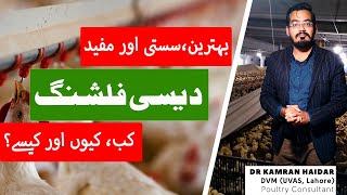 Chicken Flushing for Water Belly Crop Impaction Constipation amp Indigestion  Quick Recovery [upl. by Ahto]