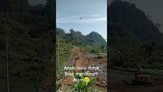 Satu hektar demi satu hektar lama lama habis 😭subscribe pemula like hutan alamindonesia [upl. by Keane]