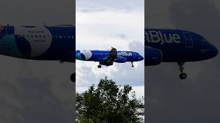 JetBlue Spotlights Livery Landing shorts aviation airbus jetblue planespotting [upl. by Thapa]