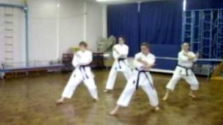 Hyakuhachiho Shotokan Karate Kata [upl. by Garber]