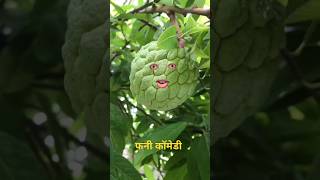 Mere dost ke upar shayari comedy shortsviral youtubeshorts shorts [upl. by Aztin606]