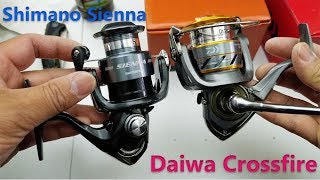 Spinning reel comparison  Shimano Sienna vs Daiwa Crossfire [upl. by Atilek]