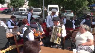 quotSZYBKA POLKAquot w wykonaniu Kapeli quotLIPCÓWquot i Adama TARNOWSKIEGO Polish folk music 2016 [upl. by Enaek]