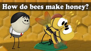 How do bees make honey  aumsum kids science education children [upl. by Olmsted302]