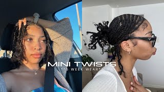 MINI TWISTS on Natural Hair  PROTECTIVE STYLE  Pria Symone [upl. by Arramas]