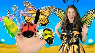 Finger Family Bugs 🐞🐛🦋 Learn about insects and Mini Beasts with the Finger Family Song for Kids [upl. by Yenduhc99]