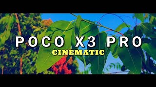 Poco X3 Pro Cinematic Video Test  1080p Wide Angle Macro amp Stability  Camera Test [upl. by Sayer]