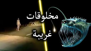 أكثر الأشياء رعبا التي تم التقاطها على الكاميرا 😰 [upl. by Jenkel]