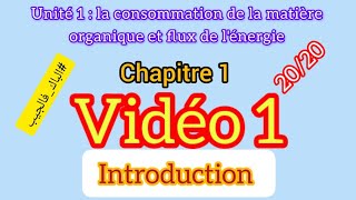 La consommation de la matière organique et le flux d’énergie [upl. by Eusadnilem]