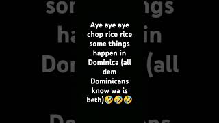 Dominicans now a days [upl. by Nonnek]