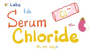 Serum Chloride Cl  Why you should care [upl. by Enoved]