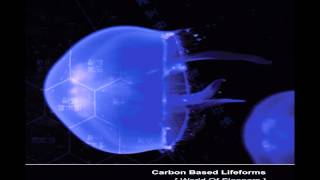 Carbon Based Lifeforms  World Of Sleepers Full Album [upl. by Francois]