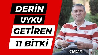 UYKU GETİREN BİTKİ ÇAYLARI UYKU GETİREN ÇAY UYKU VEREN BİTKİ ÇAYLARI [upl. by Yllus402]