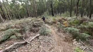 Taggerty trail ride Haydn Brett and Dave 230422 [upl. by Hsevahb723]