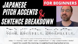 Japanese Pitch Accents  Sentence Breakdown for Beginners [upl. by Shiller]