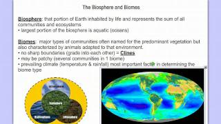 Introduction to Ecology Part 1 [upl. by Hannus]