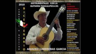 Cancion Mixteca con guitarra por Amadeo Lumbreras García [upl. by Dexter]