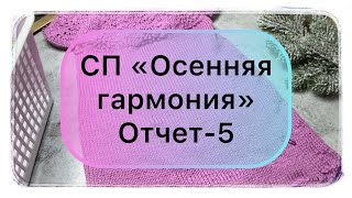 СП «Осенняя гармония» 🍂Отчёт1🍂 богинипряжи осенняягармония вязание [upl. by Demeyer]