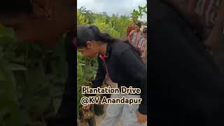 पेड़ लगाओ nature teachers day plantation shorts shortvideoshortvideoviralshortvideoyoutube [upl. by Reviere479]