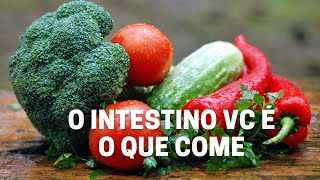 O intestino vc é o que come [upl. by Gnouv]