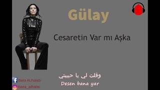 Cesaretin Var Mı Aşka  اغنية هل تملك الشجاعة كي تحب مترجمة للعربي [upl. by Goat]