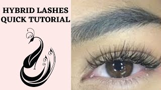 How to do Hybrid Eyelash Extensions  Eyelash Extensions 101 [upl. by Ramsdell]